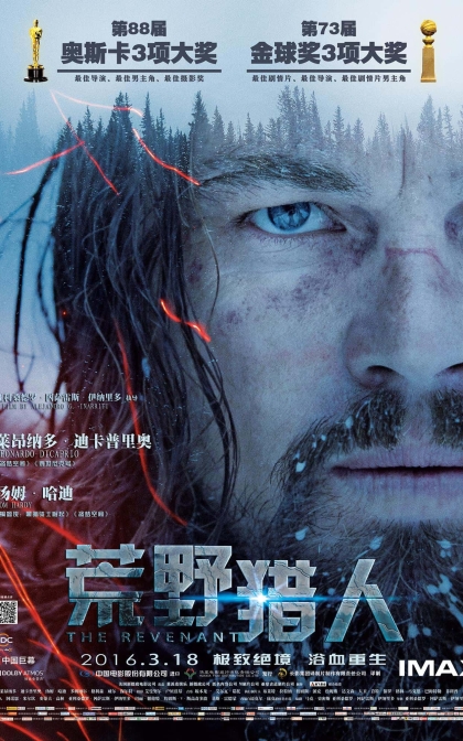荒野猎人/复仇勇者/神鬼猎人/亡魂/还魂者/归来者/高清下载 The Revenant (2015)