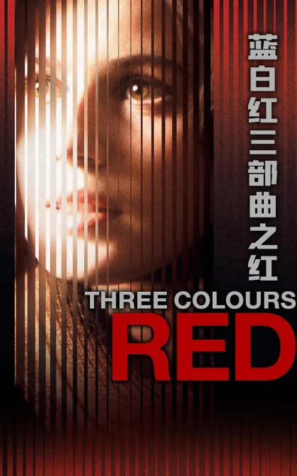 蓝白红三部曲之红/红色情深/高清下载 Trois couleurs: Rouge (1994)